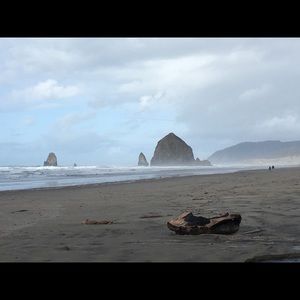 Meet your Posher, Paige